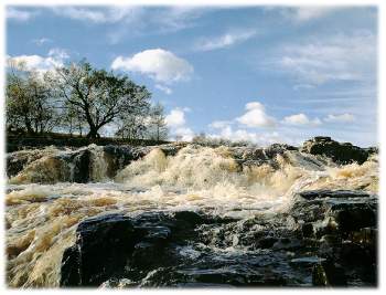 conserv1.jpg (18615 bytes)