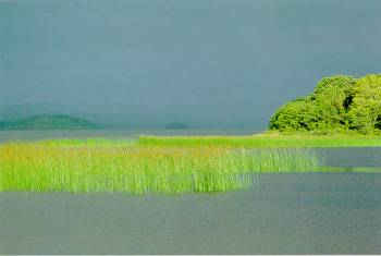 Loch Melvin